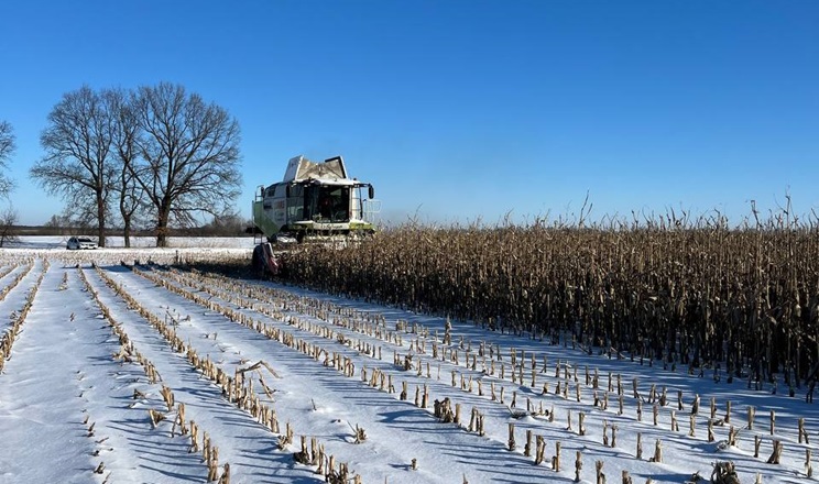 Найбільше необмолочених площ лишається на Харківщині та Дніпропетровщині