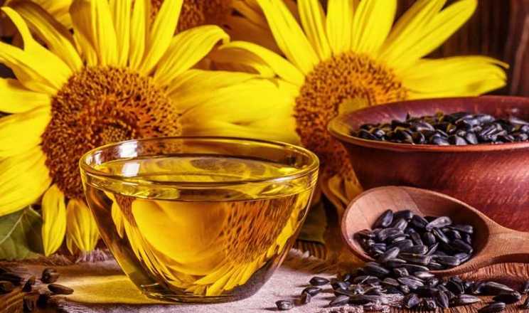 З початку року соняшникова олія подорожчала на 22 дол./т