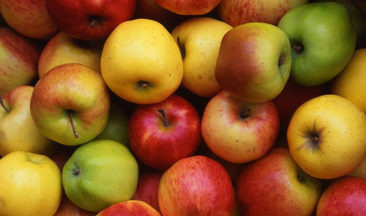 Експерти очікують подорожчання яблук на 20%