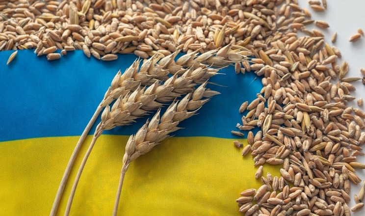 Експорт пшениці перевищив 8 млн тонн