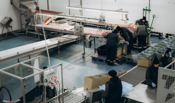 Кам’янка-Бузький завод перероблятиме овочі та вишню