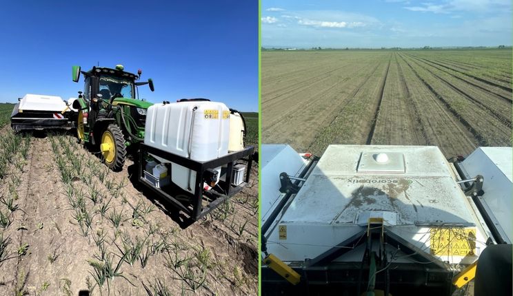 Інтелектуальний обприскувач заощадив на цибулі 50% гербіцидів