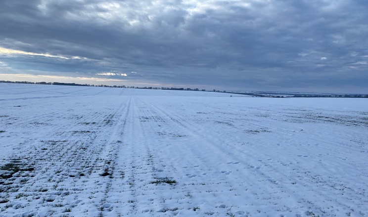 Погода в Україні: сніг та мокрий сніг