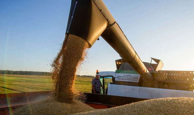 У грудні українськку кукурудзу активно купували Туреччина та Італія