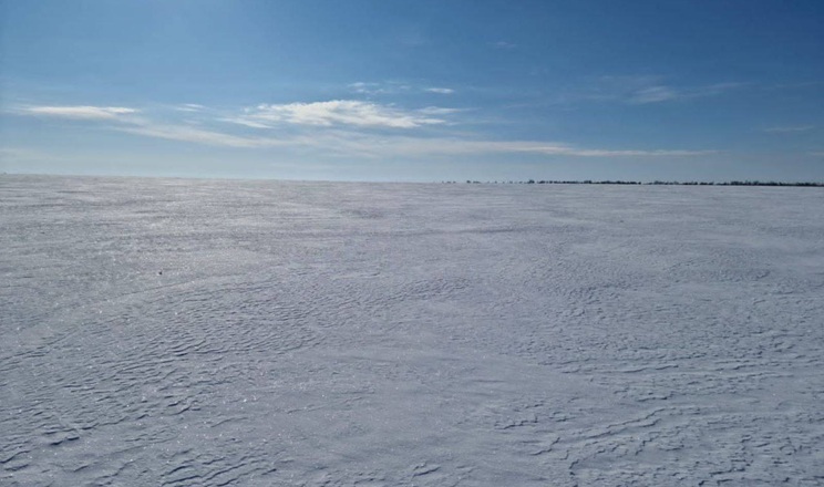 Наступної доби найхолодніше буде на півночі Україні, до -15-20°С