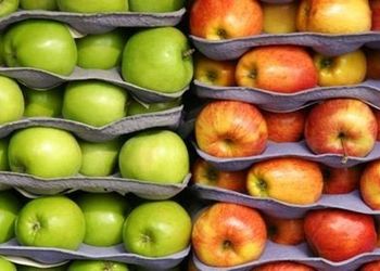 Експортер яблук вважає кількість експортноорієнтованих виробників недостатнім