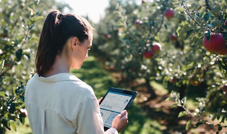 Жінки стають дедалі затребуванішими в садівництві під час війни