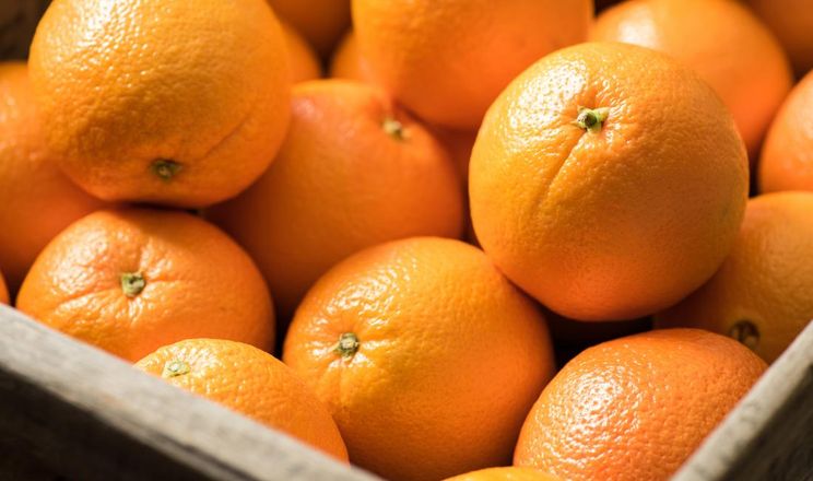 Іспанія скорочує поставки апельсинів через низький урожай
