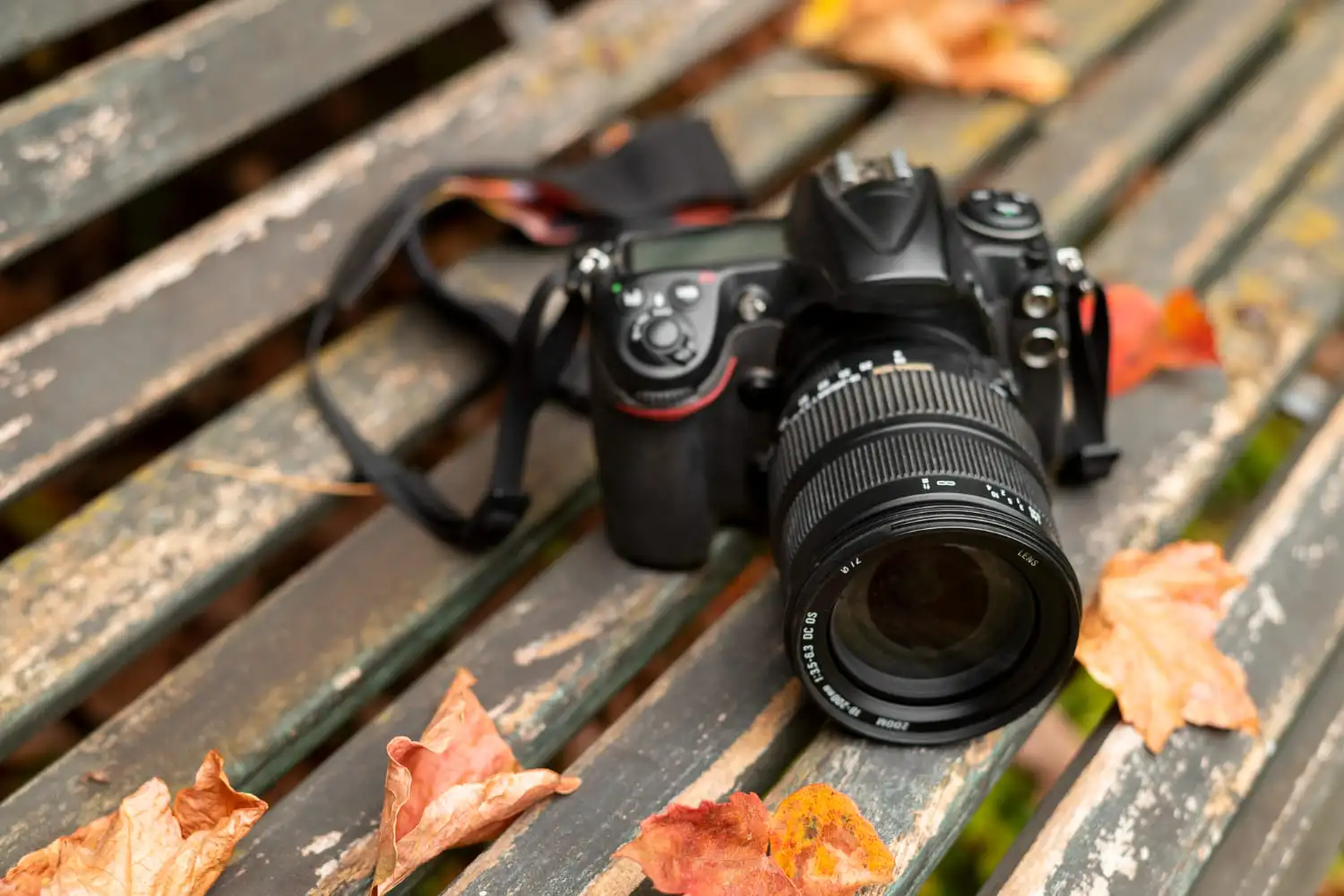 Фотоаппарат: надёжный инструмент для качественных снимков