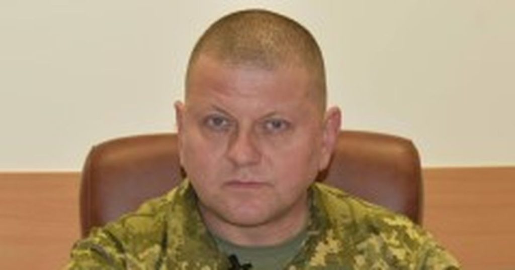 Валерий Залужный Родители Национальность – подробный обзор биографии и карьеры
