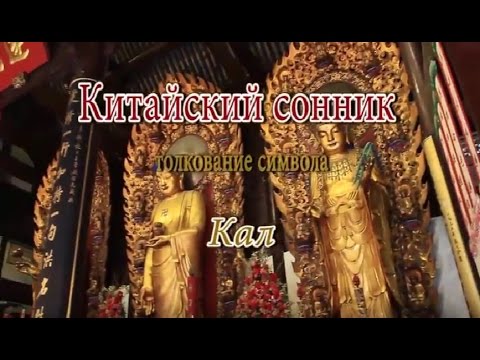 К Чему Снится Кал Женщине: подробное толкование сна